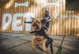 Com desfile pet, evento solidário busca arrecadar doações para animais abandonados
