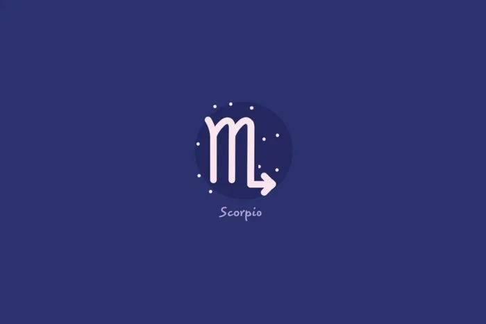 Moonberry_Studio / Shutterstock | Portal EdiCase