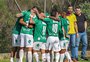 Retrospectiva: os números do SC Gaúcho em 2024 