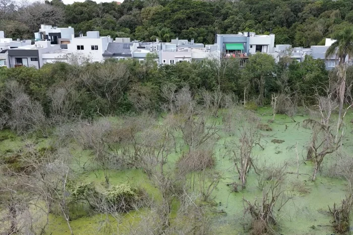 Arquivo Pessoal / Arquivo Pessoal