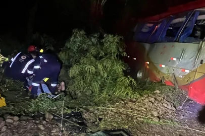 Três pessoas ficam feridas em um acidente com micro-ônibus na RS-324, em Casca, no norte do Estado<!-- NICAID(16183119) -->
