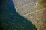 Aerial picture showing a deforested piece of land in the Amazon rainforest near an area affected by fires, about 65 km from Porto Velho, in the state of Rondonia, in northern Brazil, on August 23, 2019. - Bolsonaro said Friday he is considering deploying the army to help combat fires raging in the Amazon rainforest, after news about the fires have sparked protests around the world. The latest official figures show 76,720 forest fires were recorded in Brazil so far this year -- the highest number for any year since 2013. More than half are in the Amazon. (Photo by CARL DE SOUZA / AFP)Editoria: ENVLocal: Porto VelhoIndexador: CARL DE SOUZASecao: agricultureFonte: AFPFotógrafo: STF<!-- NICAID(14219370) -->