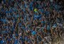 Grêmio comemora novo recorde no Quadro Social