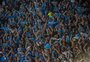 Grêmio comemora novo recorde no quadro social