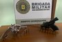 BM prende suspeitos de homicídio em Carlos Barbosa