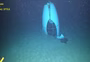 Guarda Costeira dos EUA divulga vídeo do momento em que destroços do submersível Titan são encontrados