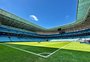 O ano do Grêmio nem tão maravilhoso e nem tão desgraçado