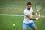 Novak Djokovic, tênis