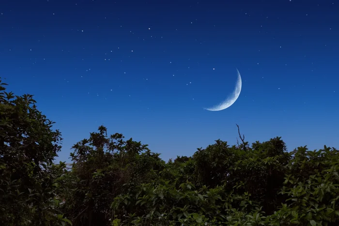 wachirawut55 / Shutterstock | Portal EdiCase