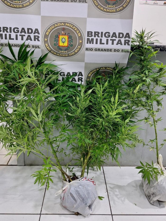 Brigada Militar / Divulgação