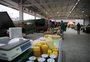 Novo pavilhão para feiras de produtores rurais é inaugurado em Farroupilha