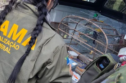 Brigada Militar realiza fiscalização ambiental em apoio ao IBAMA e SEMA em Jaguarão<!-- NICAID(16314704) -->