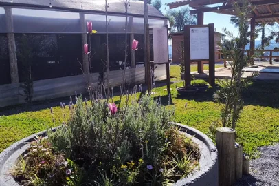 A rota turística Compassos da Mérica Mérica, em Flores da Cunha, passa a contar com um novo integrante, o Orquidário Bella Ju. Localizado do Travessão Rondelli _ Capela São Vitor, é o primeiro empreendimento com foco em flores a fazer parte do roteiro. <!-- NICAID(16186907) -->