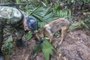 A handout picture released by the Colombian army shows a soldier with a dog checking a pair of scissors found in the forest in a rural area of the municipality of Solano, department of Caqueta, Colombia, on May 17, 2023. More than 100 soldiers with sniffer dogs are following the "trail" of four missing children in the Colombian Amazon after a small plane crash that killed three adults, the military said Wednesday. (Photo by Handout / Colombian army / AFP) / RESTRICTED TO EDITORIAL USE - MANDATORY CREDIT "AFP PHOTO / COLOMBIAN ARMY " - NO MARKETING - NO ADVERTISING CAMPAIGNS - DISTRIBUTED AS A SERVICE TO CLIENTSEditoria: DISLocal: SolanoIndexador: HANDOUTSecao: accident (general)Fonte: Colombian armyFotógrafo: Handout<!-- NICAID(15431485) -->