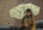 Norte do RS enfrenta mais chuva que outras regiões em períodos de El Niño; entenda o por quê