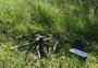 VÍDEO: como drones ajudam no combate a um besouro que ataca florestas plantadas no RS