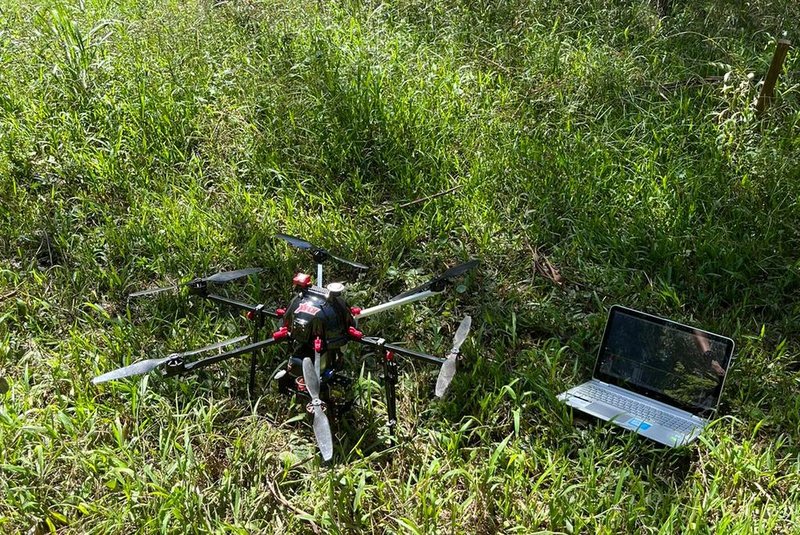 Pesquisa utiliza drones para identificação de besouro serrador em acácia-negra<!-- NICAID(15723018) -->