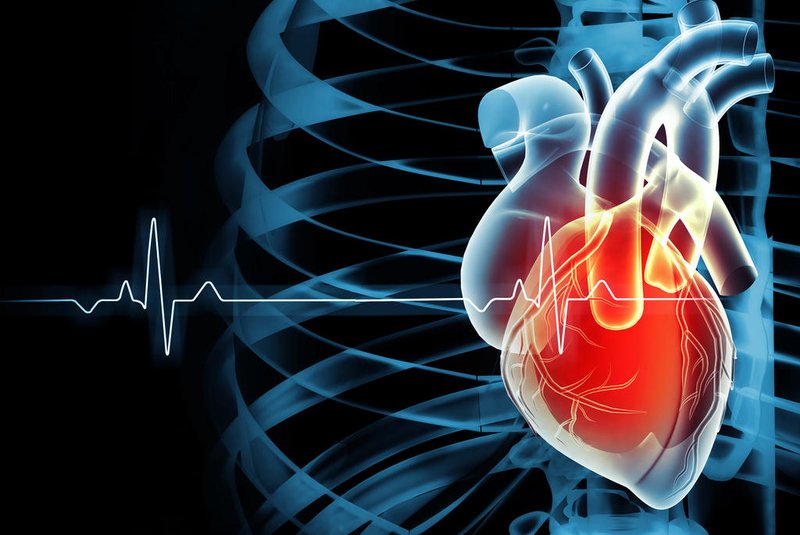 Human heart on ecg background. 3d illustrationRitmo cardíaco - Foto: Crystal light/stock.adobe.comFonte: 633278546<!-- NICAID(15672522) -->