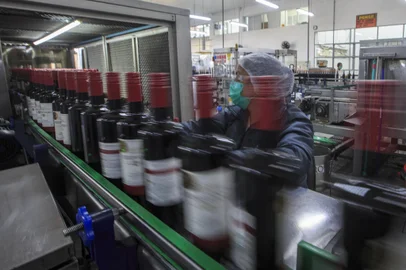 BENTO GONÇALVES, RS, BRASIL - A Revolução Silenciosa dos Parreirais como o setor vitivinícola alia prestígio internacional com aumento de vendas e safra recorde de uvas. Na imagem engarrafamento de suco de uva e vinho na Vinícola Aurora.Indexador: Jeff Botega<!-- NICAID(14869696) -->