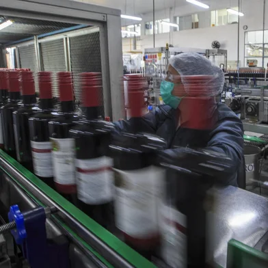 BENTO GONÇALVES, RS, BRASIL - A Revolução Silenciosa dos Parreirais como o setor vitivinícola alia prestígio internacional com aumento de vendas e safra recorde de uvas. Na imagem engarrafamento de suco de uva e vinho na Vinícola Aurora.Indexador: Jeff Botega<!-- NICAID(14869696) -->