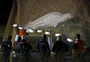 Morre baleia beluga resgatada após se perder no Rio Sena