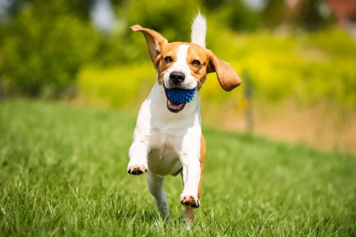 Przemek Iciak / Shutterstock | Portal EdiCase Przemek Iciak / Shutterstock | Portal EdiCase