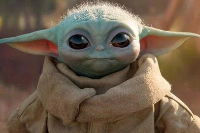 Star Wars: Mandalorian, The Child/A Criança/"Baby Yoda"<!-- NICAID(14640814) -->