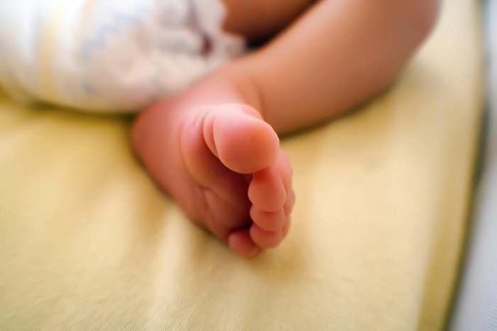 GiorgioRoma / stock.adobe.com