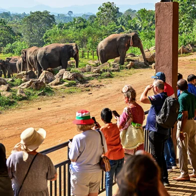 Tourists look at elephants at the Pinnawala Elephant Orphanage in Pinnawala on February 16, 2025. Sri Lanka's main elephant orphanage marked its 50th anniversary on February 16, with a fruit feast for the 68 jumbos at the showpiece centre, reputedly the world's first care home for destitute pachyderms. (Photo by Ishara S. KODIKARA / AFP)Editoria: HUMLocal: PinnawalaIndexador: ISHARA S. KODIKARASecao: animalFonte: AFPFotógrafo: STR<!-- NICAID(15980683) -->