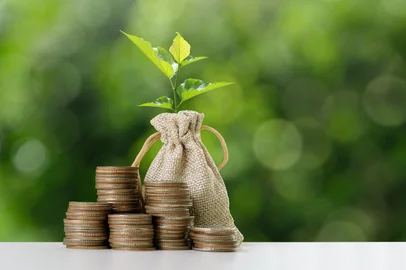 Seedlings growing on a pile of coins Concept of financial growth. Saving money, saving money and green economic growth. Stack of coins with money bag on green nature backgroundFonte: 723240886<!-- NICAID(16163266) -->