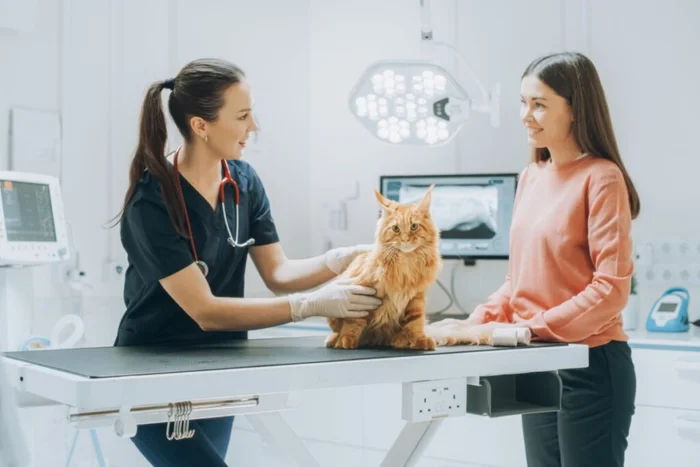 Gorodenkoff / Shutterstock | Portal EdiCase Gorodenkoff / Shutterstock | Portal EdiCase