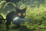 Animação indicada ao Oscar 2025 estreia nas salas de cinema de Caxias do Sul