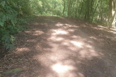 Corpo de motorista de app é encontrado em Paverama<!-- NICAID(15194406) -->