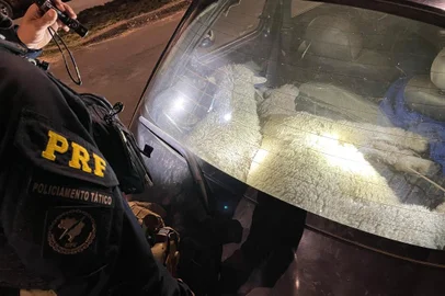 PRF prende dois abigeatários e recupera duas ovelhas em Bagé<!-- NICAID(15661281) -->