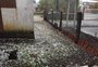 "Uma situação de tristeza", diz prefeito de Rio Pardo após chuva de granizo que deixou famílias desabrigadas