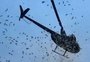 "Chuva de dinheiro"? Helicóptero joga milhares de dólares do céu; veja vídeo