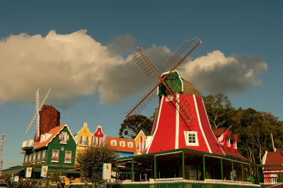 Grupo Zaandam<!-- NICAID(15512089) -->