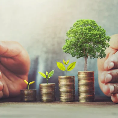 businessman protection money on table with tree. concept saving                                Fonte: 276454828<!-- NICAID(14636840) -->