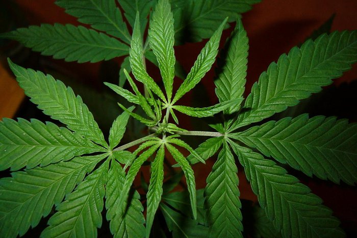 Stock.Xchng / Divulgação