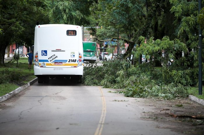 Matheus Pé / Especial / Agencia RBS