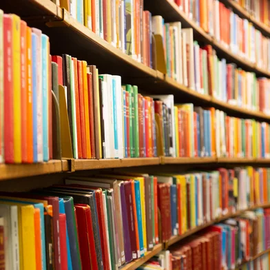 Library with many shelves and booksLivros. Foto: Pink Badger / stock.adobe.comFonte: 292608623<!-- NICAID(16103947) -->