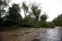 Porto Alegre, RS, Brasil, 16/06/2023 - Ciclone extratropical causa estragos na zona sul de Porto Alegre - Foto: Jonathan Heckler/Agência RBS<!-- NICAID(15458060) -->