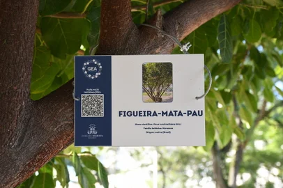 Grupo de Educação Ambiental do Colégio Marista Rosário criou um ECOGuia para a Praça Dom Sebastião, em Porto Alegre.<!-- NICAID(15491434) -->