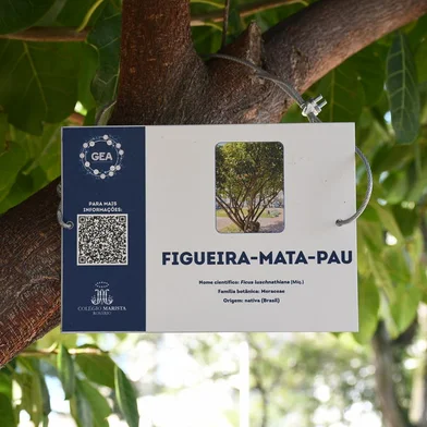 Grupo de Educação Ambiental do Colégio Marista Rosário criou um ECOGuia para a Praça Dom Sebastião, em Porto Alegre.<!-- NICAID(15491434) -->