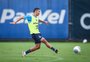 Grêmio ganha fôlego em meio ao adiamento do jogo pelo Brasileirão