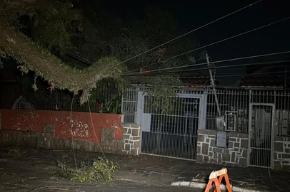 Queda de árvore atinge muro de casa e provoca falta de luz no bairro Santa Tereza<!-- NICAID(16210035) -->
