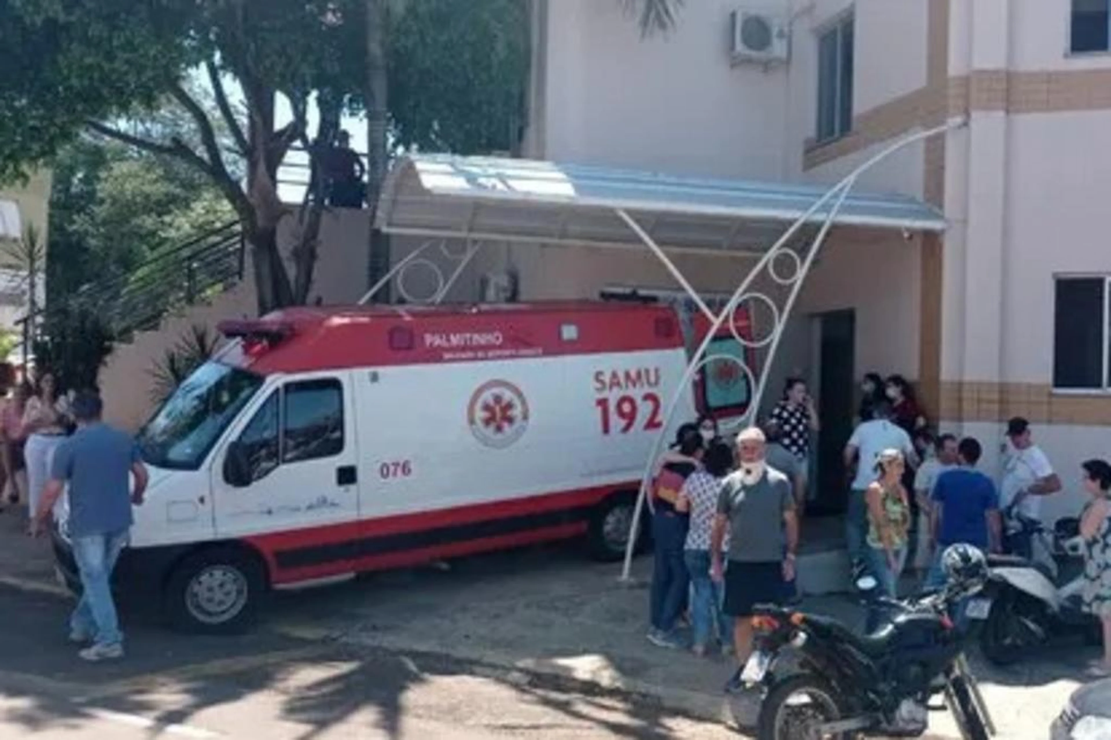 Carlos Braga/Grupo Chiru/Divulgação