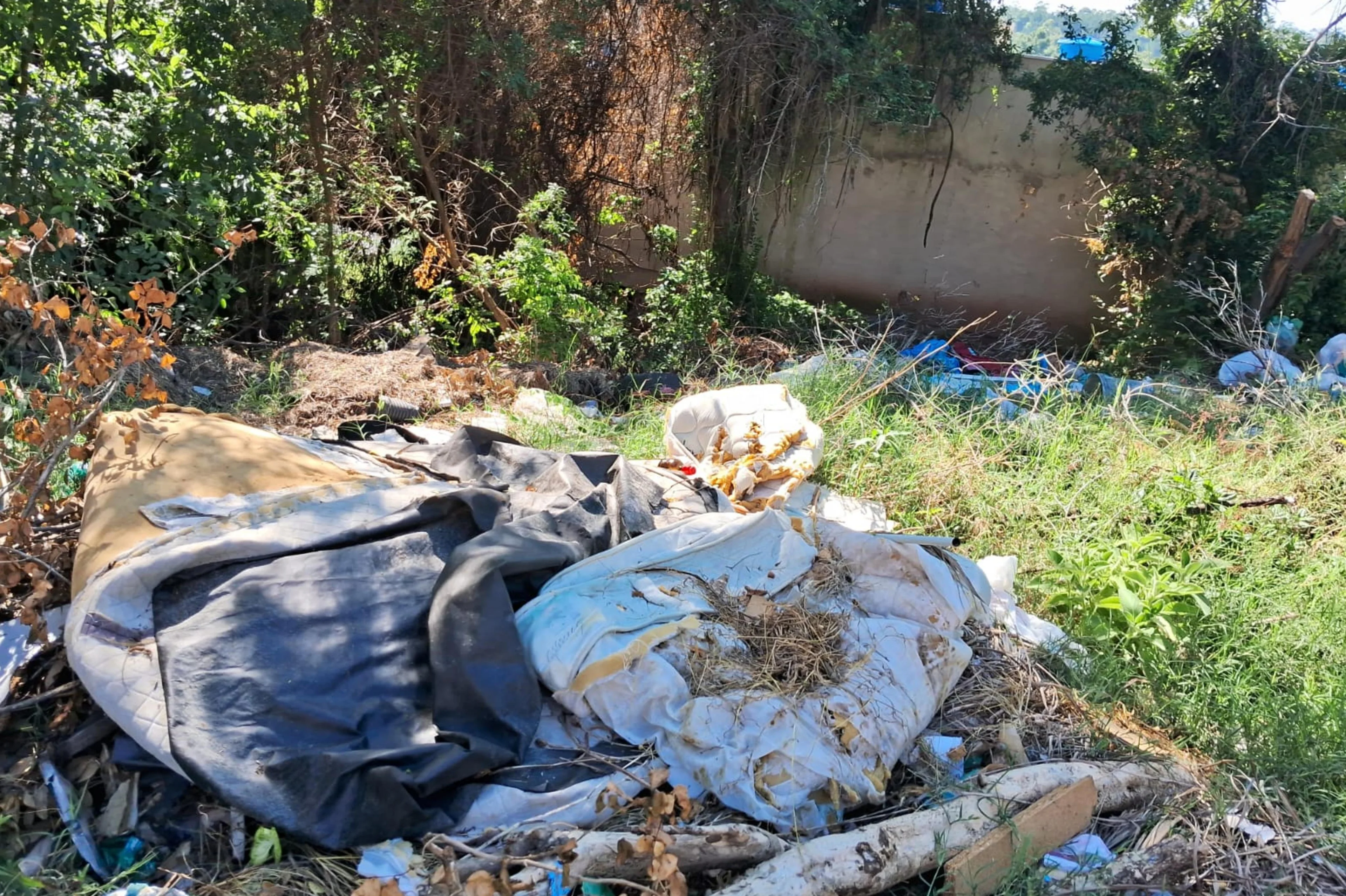 Alberto Vargas/Acervo Pessoal