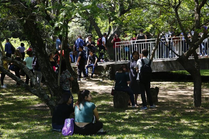 Jonathan Heckler / Agencia RBS