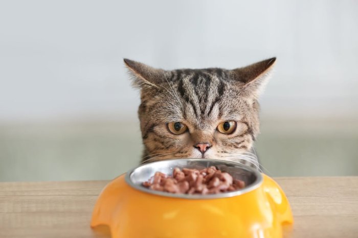 Pixel-Shot / Shutterstock | Portal EdiCase Pixel-Shot / Shutterstock | Portal EdiCase